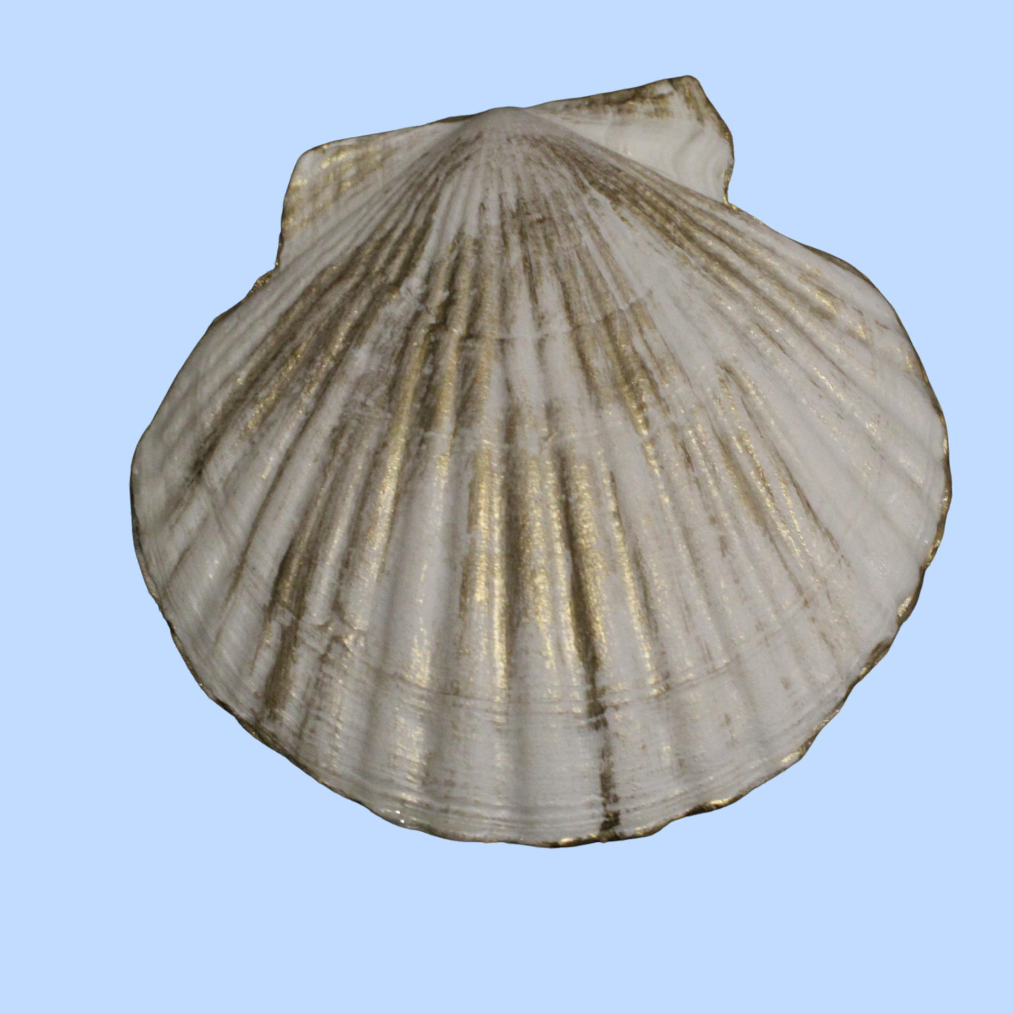 Cloth 9