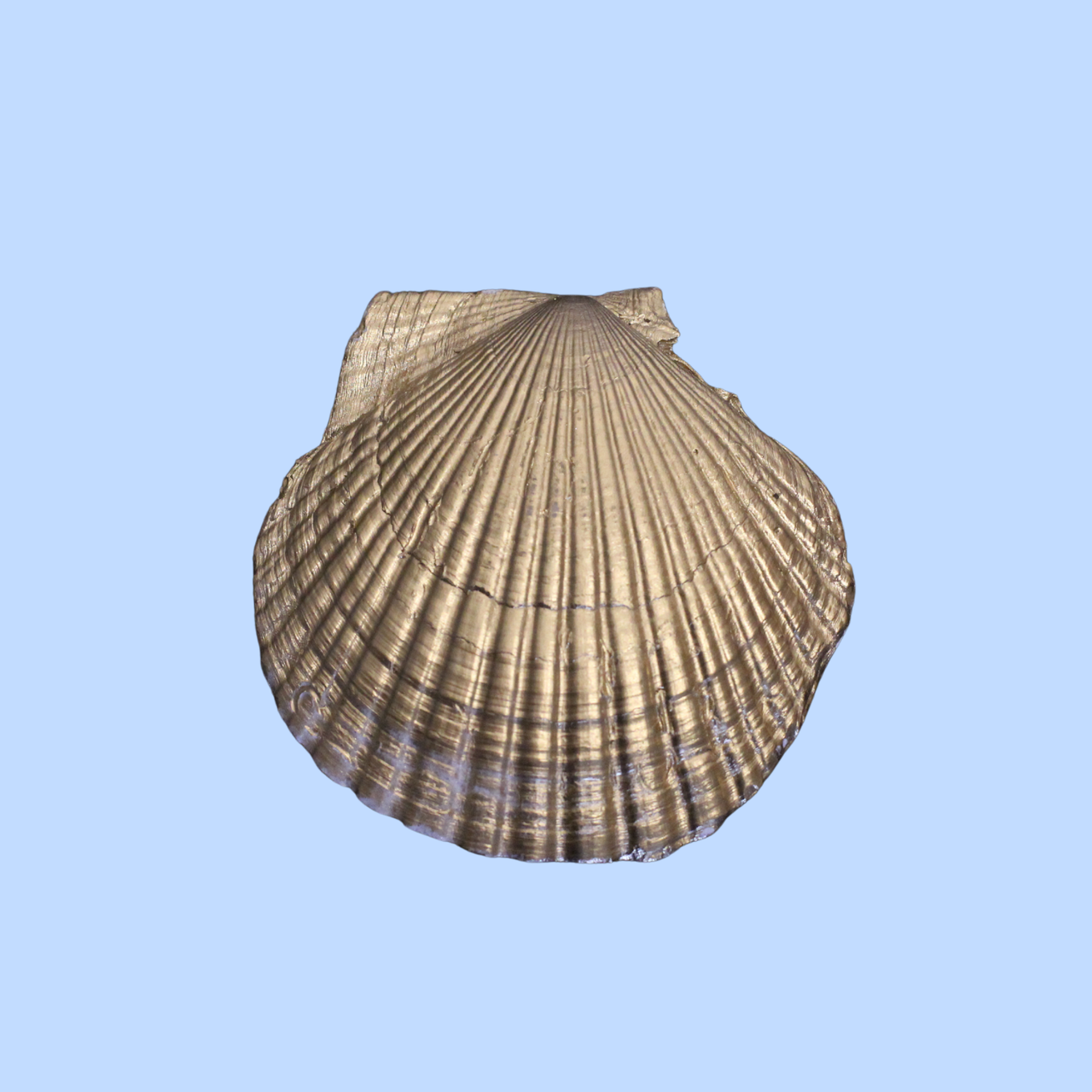 Mother of Pearl 1
