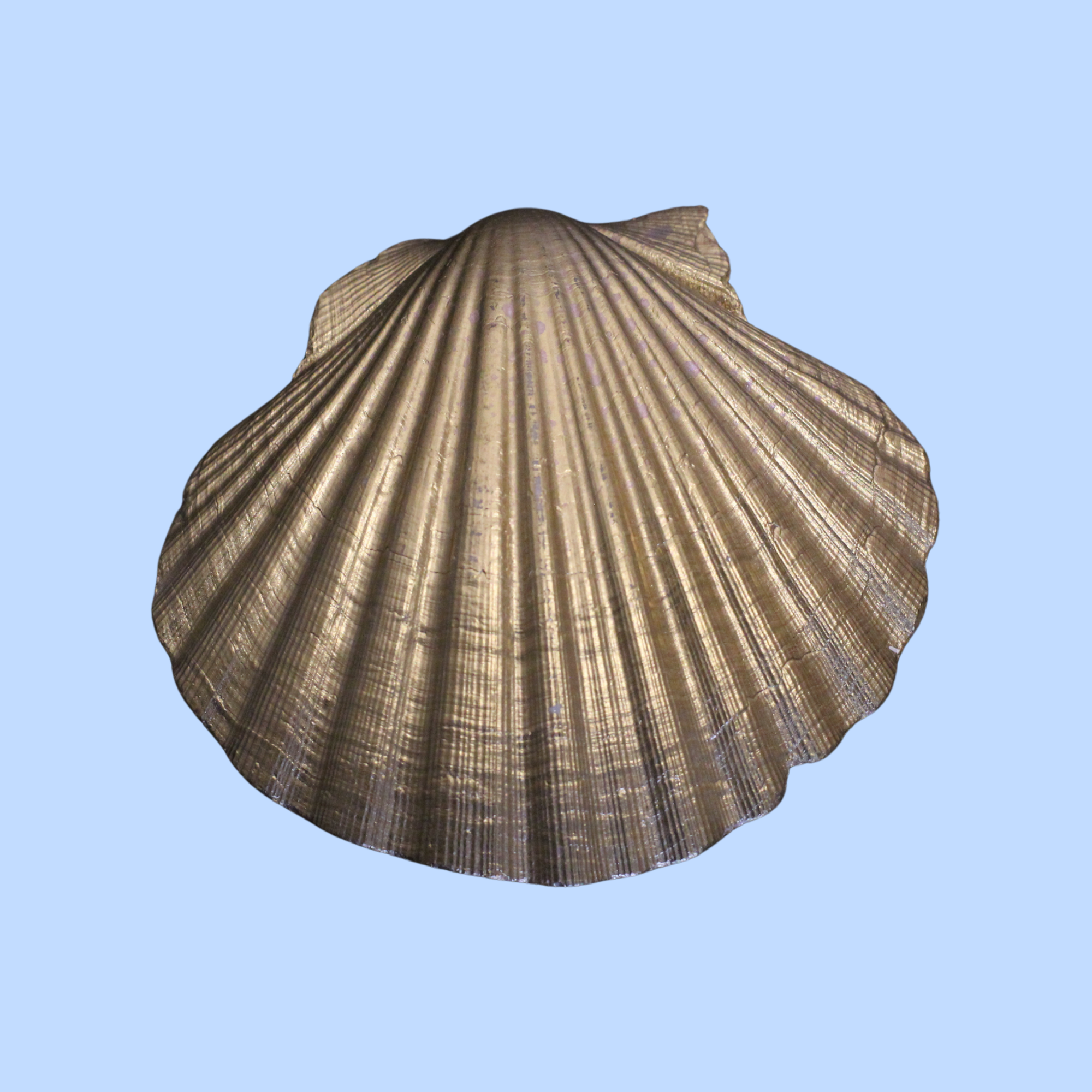 Mother of Pearl 2