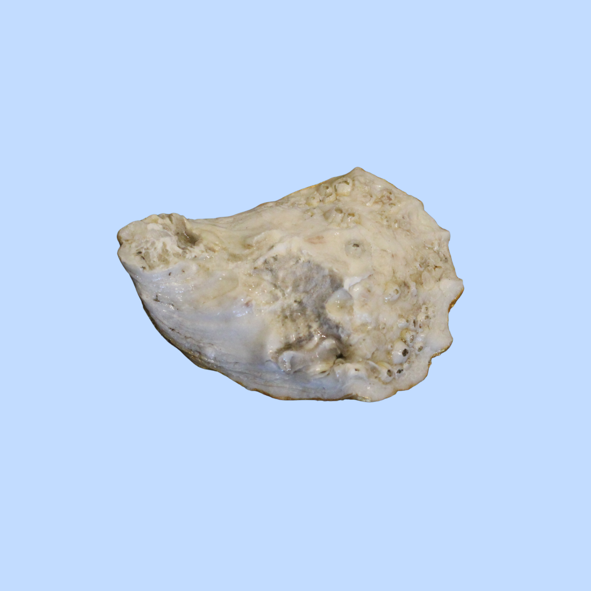 Cloth 2