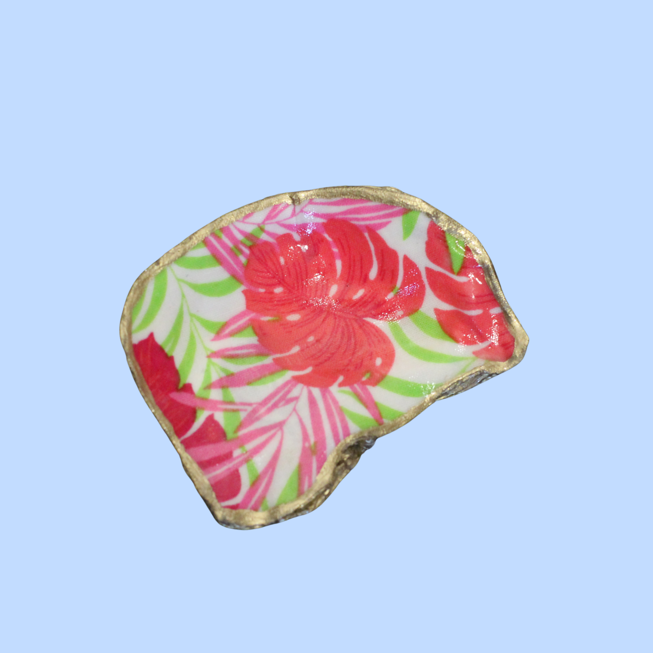 Cloth 4