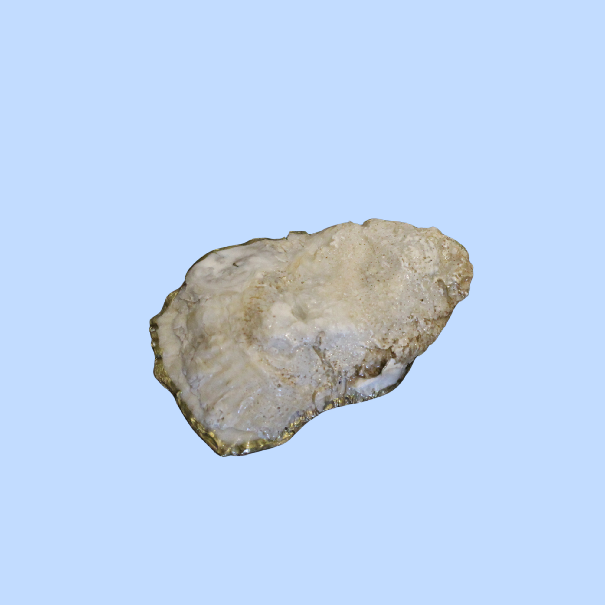 Cloth 5