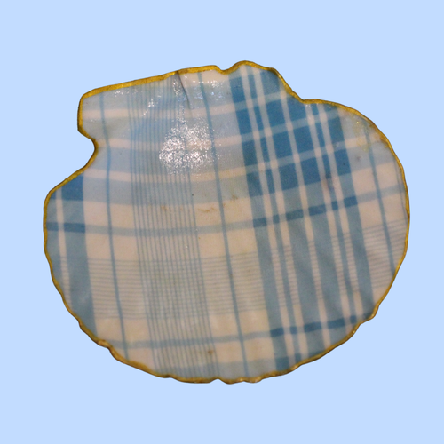 Cloth 6