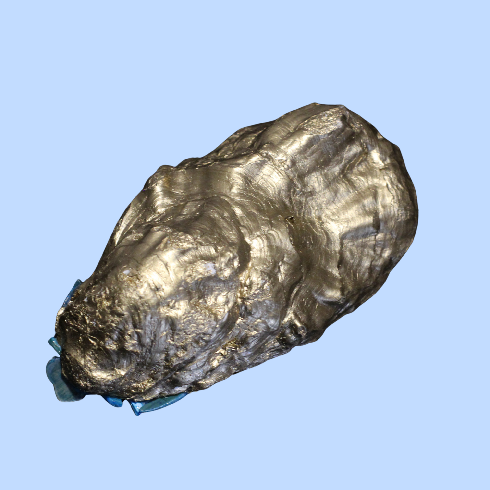 Animal Print 2